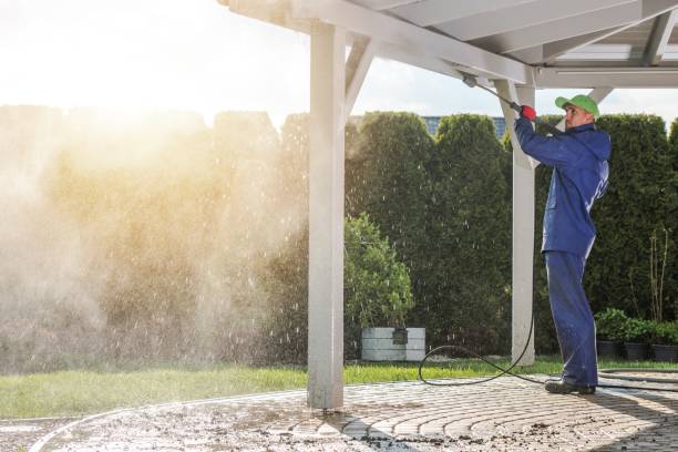 Best Driveway Pressure Washing  in Green Tree, PA
